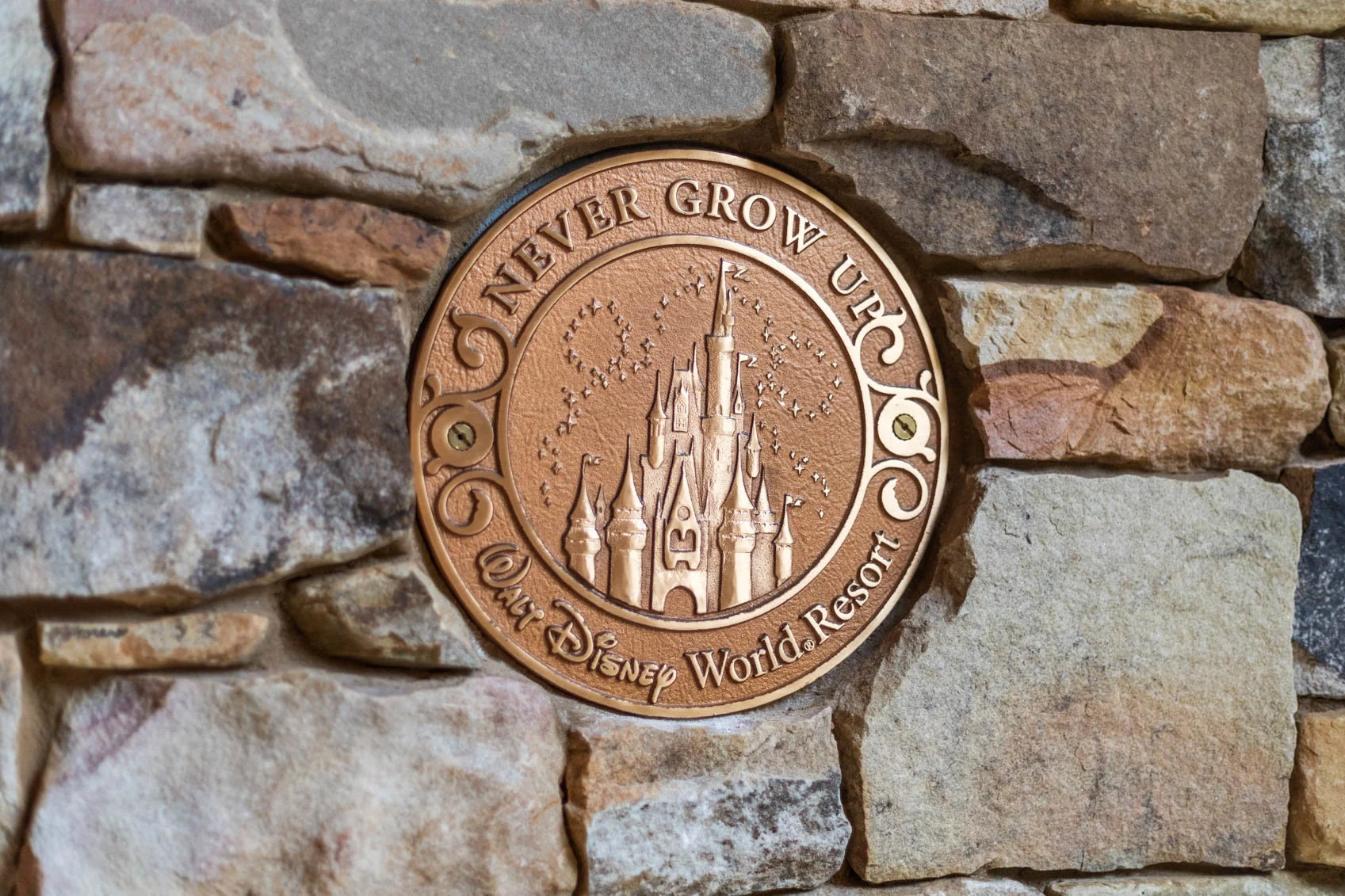 Wal Disney resort watermark